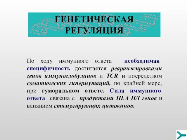 По ходу иммунного ответа необходимая специфичность достигается реаранжировками генов иммуноглобулинов и