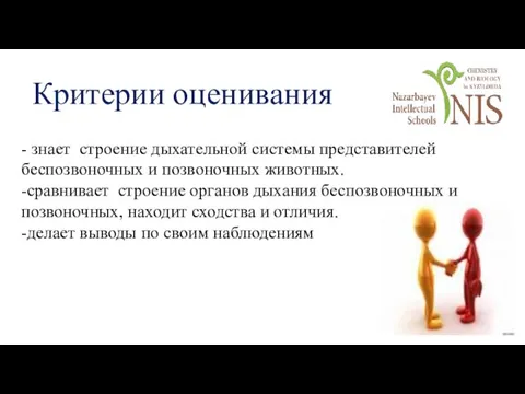 - знает строение дыхательной системы представителей беспозвоночных и позвоночных животных. -сравнивает