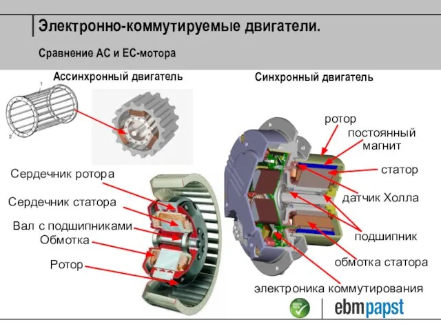 Сравнение АС и ЕС-мотора Электронно-коммутируемые двигатели. Ассинхронный двигатель Синхронный двигатель Сердечник