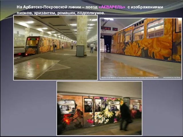 На Арбатско-Покровской линии – поезд «АКВАРЕЛЬ» с изображениями пионов, хризантем, ромашек, подсолнухов.