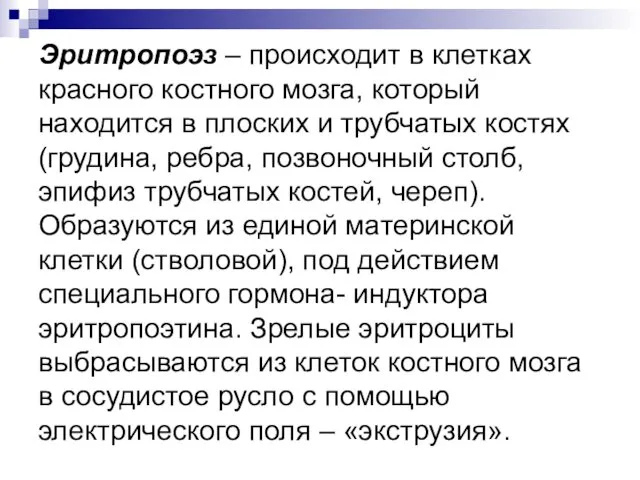 Эритропоэз – происходит в клетках красного костного мозга, который находится в