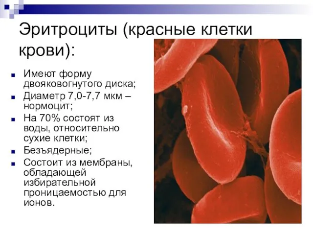 Эритроциты (красные клетки крови): Имеют форму двояковогнутого диска; Диаметр 7,0-7,7 мкм