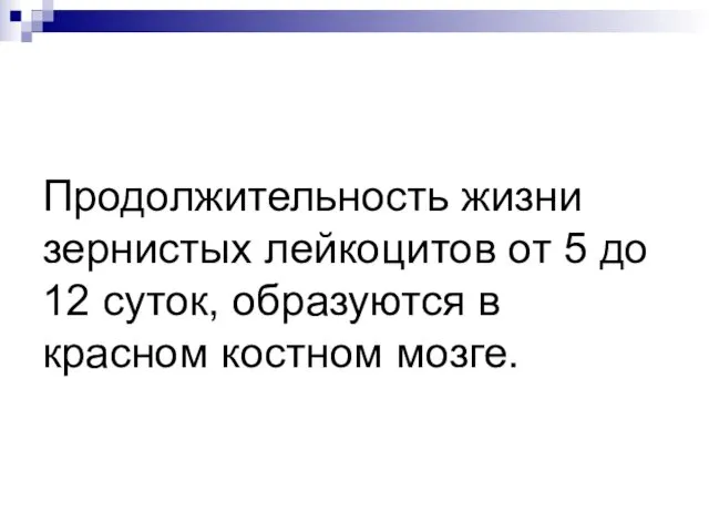 Продолжительность жизни зернистых лейкоцитов от 5 до 12 суток, образуются в красном костном мозге.