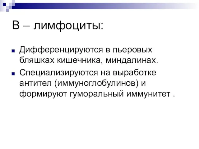 В – лимфоциты: Дифференцируются в пьеровых бляшках кишечника, миндалинах. Специализируются на