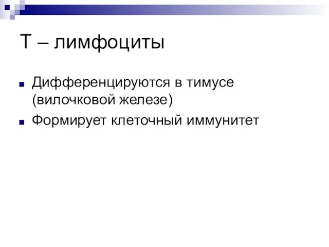 Т – лимфоциты Дифференцируются в тимусе (вилочковой железе) Формирует клеточный иммунитет