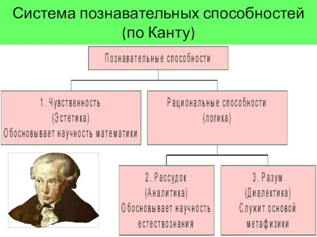 Система познавательных способностей (по Канту)