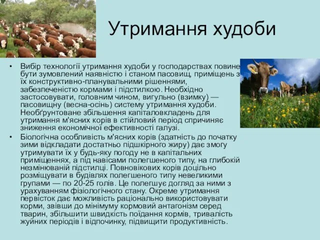 Утримання худоби Вибір технології утримання худоби у господарствах повинен бути зумовлений