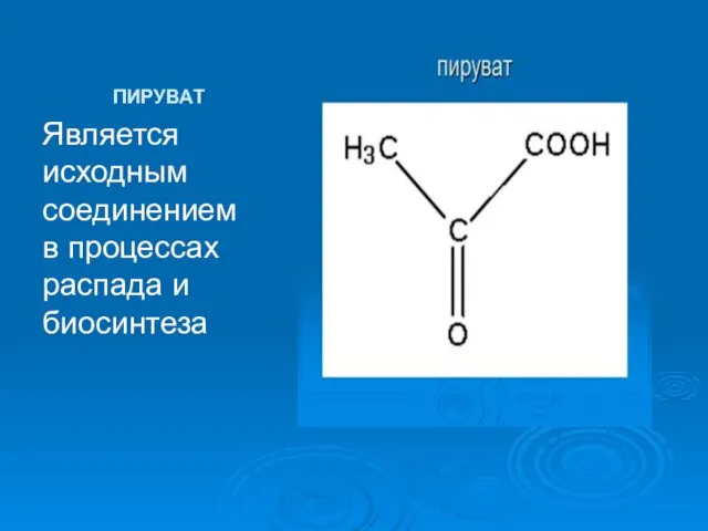 ПИРУВАТ Является исходным соединением в процессах распада и биосинтеза