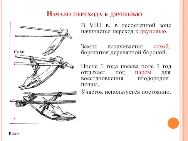 Начало перехода к двуполью В VIII в. в лесостепной зоне начинается