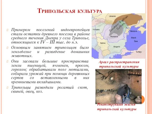 Трипольская культура Примером поселений индоевропейцев стали остатки древнего поселка в районе