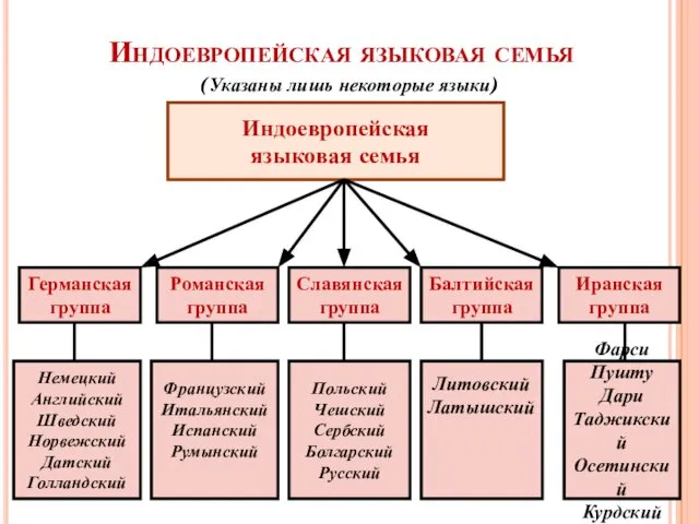 Индоевропейская языковая семья (Указаны лишь некоторые языки) Индоевропейская языковая семья Германская