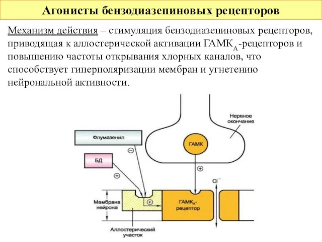 Агонисты бензодиазепиновых рецепторов Механизм действия – стимуляция бензодиазепиновых рецепторов, приводящая к