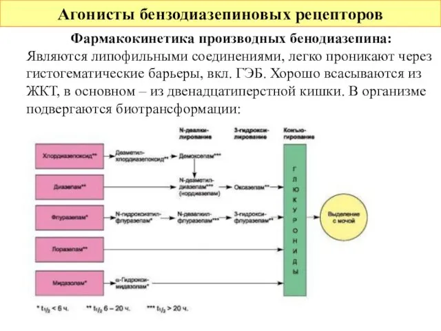 Агонисты бензодиазепиновых рецепторов Фармакокинетика производных бенодиазепина: Являются липофильными соединениями, легко проникают