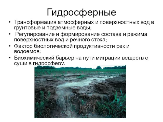 Гидросферные Трансформация атмосферных и поверхностных вод в грунтовые и подземные воды;