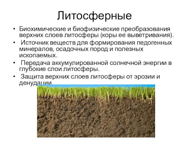 Литосферные Биохимические и биофизические преобразования верхних слоев литосферы (коры ее выветривания).