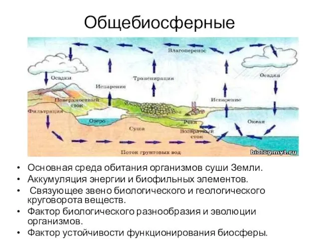 Общебиосферные Основная среда обитания организмов суши Земли. Аккумуляция энергии и биофильных