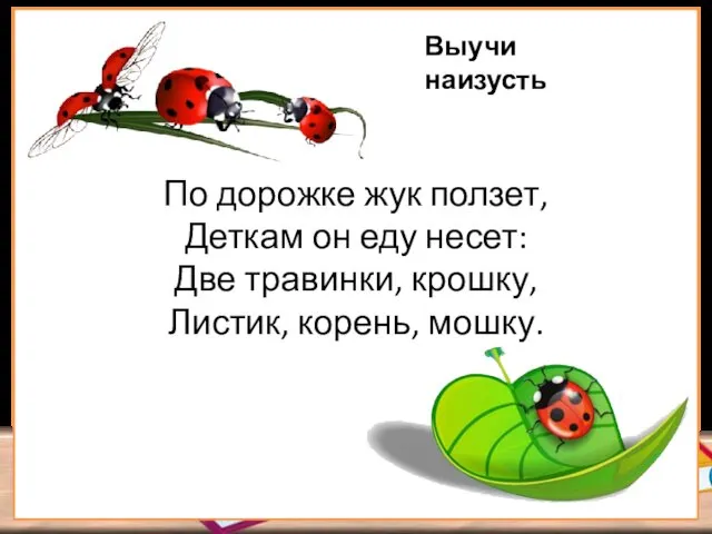 По дорожке жук ползет, Деткам он еду несет: Две травинки, крошку, Листик, корень, мошку. Выучи наизусть