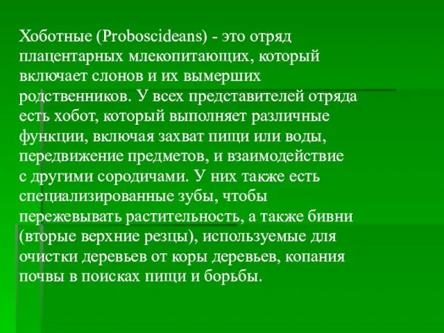 Хоботные (Proboscideans) - это отряд плацентарных млекопитающих, который включает слонов и