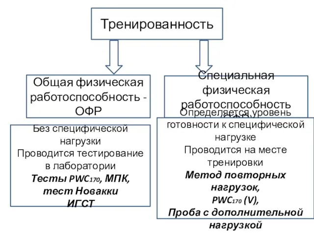 Тренированность Общая физическая работоспособность - ОФР Специальная физическая работоспособность (СФР) Без