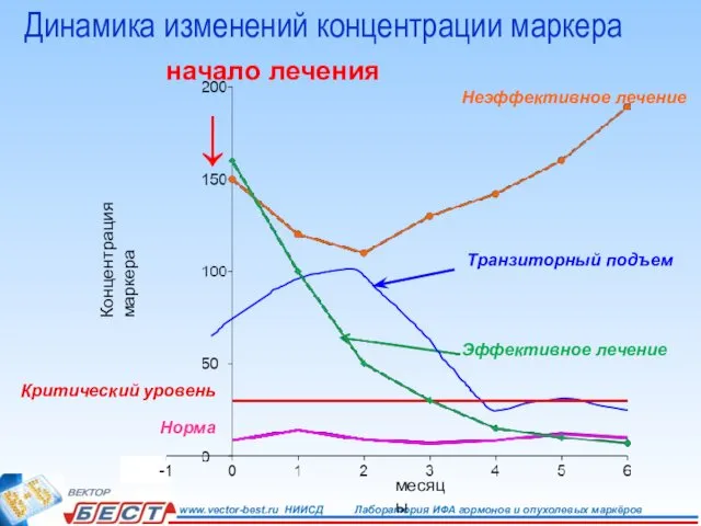 начало лечения ↓ Динамика изменений концентрации маркера