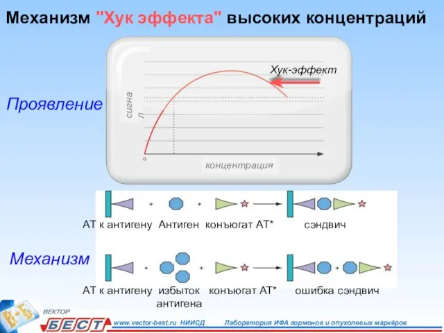 Механизм "Хук эффекта" высоких концентраций Проявление Механизм АТ к антигену Антиген