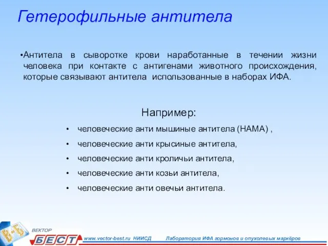 Гетерофильные антитела Антитела в сыворотке крови наработанные в течении жизни человека