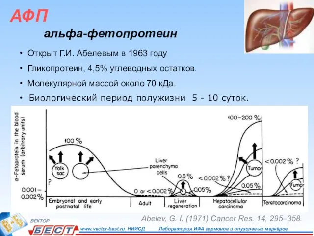 АФП альфа-фетопротеин Открыт Г.И. Абелевым в 1963 году Гликопротеин, 4,5% углеводных