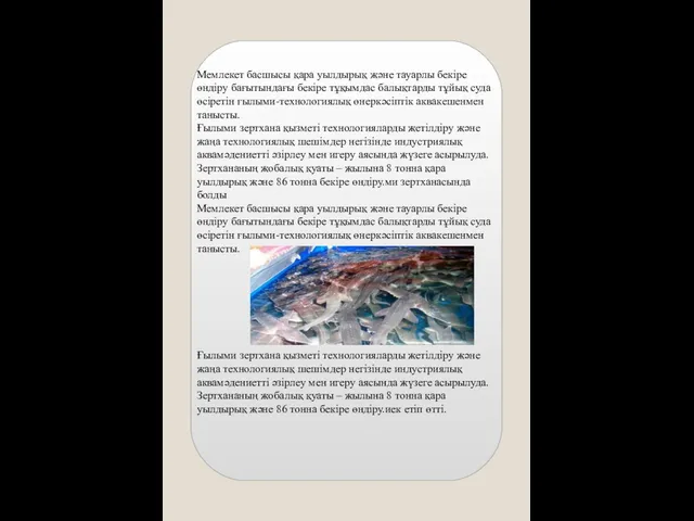 Мемлекет басшысы қара уылдырық және тауарлы бекіре өндіру бағытындағы бекіре тұқымдас