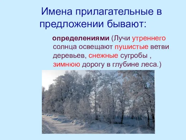 Имена прилагательные в предложении бывают: определениями (Лучи утреннего солнца освещают пушистые