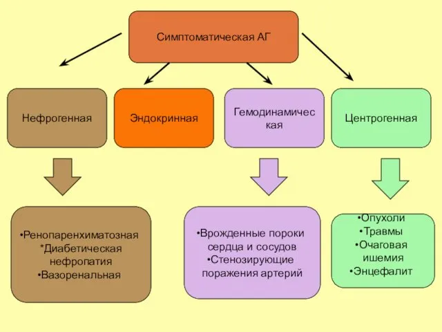 Симптоматическая АГ Нефрогенная Эндокринная Гемодинамическая Центрогенная Ренопаренхиматозная *Диабетическая нефропатия Вазоренальная Врожденные