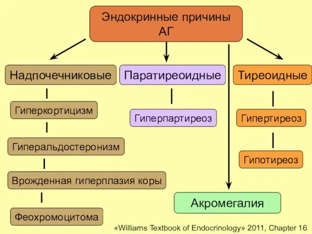 Эндокринные причины АГ Надпочечниковые Тиреоидные Паратиреоидные Феохромоцитома Гиперкортицизм Гиперальдостеронизм Гипотиреоз Гипертиреоз