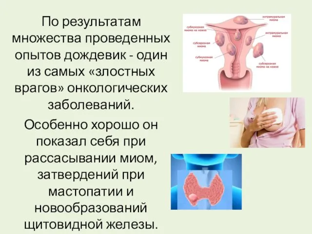 По результатам множества проведенных опытов дождевик - один из самых «злостных