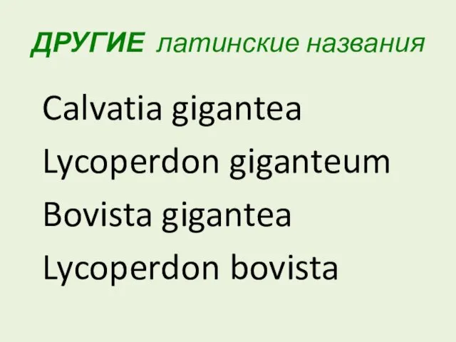 ДРУГИЕ латинские названия Calvatia gigantea Lycoperdon giganteum Bovista gigantea Lycoperdon bovista