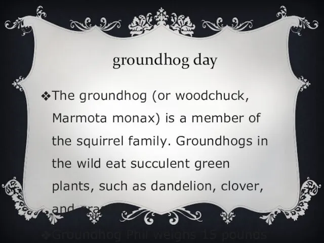 groundhog day The groundhog (or woodchuck, Marmota monax) is a member