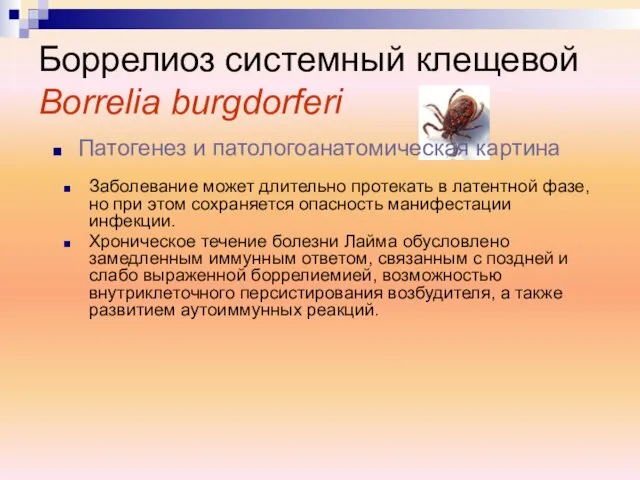 Заболевание может длительно протекать в латентной фазе, но при этом сохраняется