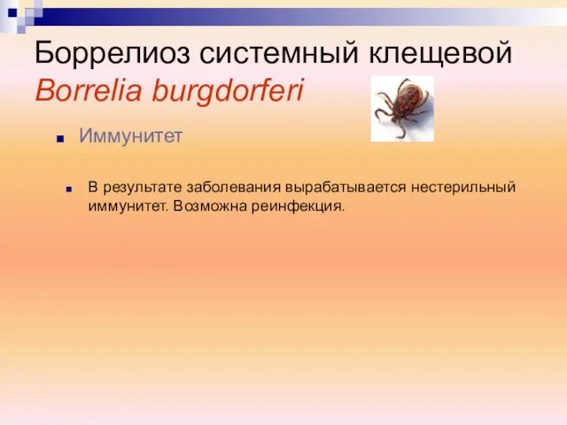 В результате заболевания вырабатывается нестерильный иммунитет. Возможна реинфекция. Боррелиоз системный клещевой Borrelia burgdorferi Иммунитет