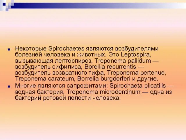 Некоторые Spirochaetes являются возбудителями болезней человека и животных. Это Leptospira, вызывающая