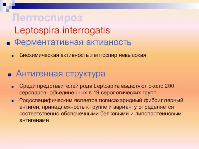 Биохимическая активность лептоспир невысокая. Среди представителей рода Leptospira выделяют около 200