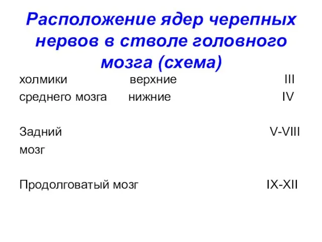 Расположение ядер черепных нервов в стволе головного мозга (схема) холмики верхние