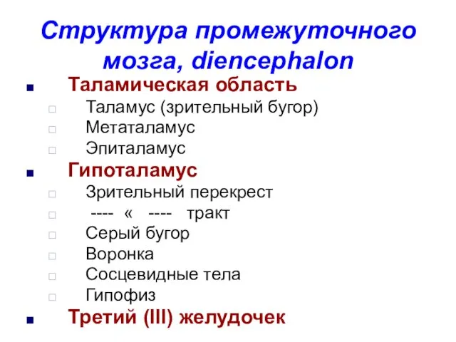 Структура промежуточного мозга, diencephalon Таламическая область Таламус (зрительный бугор) Метаталамус Эпиталамус