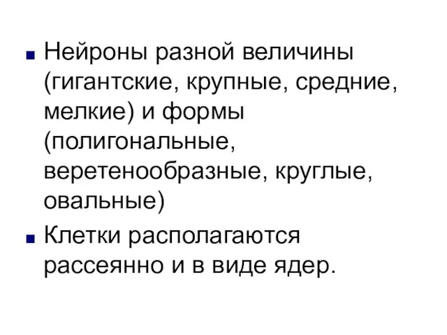 Нейроны разной величины (гигантские, крупные, средние, мелкие) и формы (полигональные, веретенообразные,