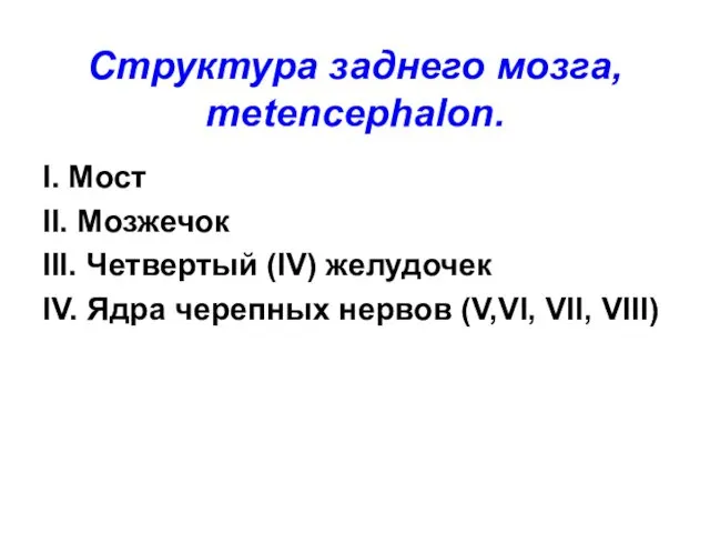 Структура заднего мозга, metencephalon. I. Мост II. Мозжечок III. Четвертый (IV)