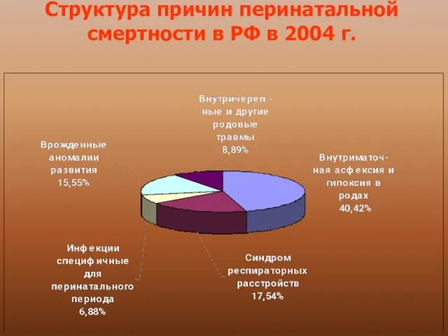 Структура причин перинатальной смертности в РФ в 2004 г.