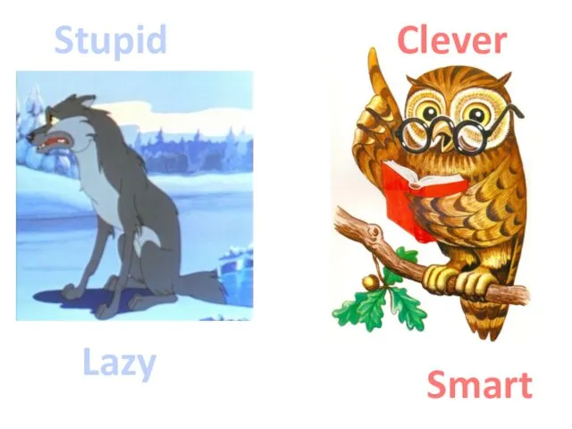 Clever Smart Stupid Lazy