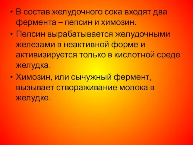 В состав желудочного сока входят два фермента – пепсин и химозин.