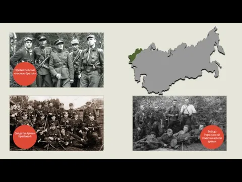Прибалтийские «лесные братья» Солдаты Армии Крайовой Бойцы Украинской повстанческой армии