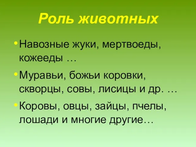 Роль животных Навозные жуки, мертвоеды, кожееды … Муравьи, божьи коровки, скворцы,