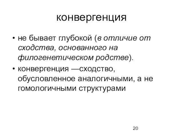 конвергенция не бывает глубокой (в отличие от сходства, основанного на филогенетическом