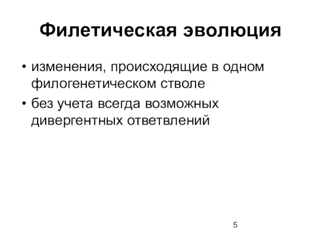 Филетическая эволюция изменения, происходящие в одном филогенетическом стволе без учета всегда возможных дивергентных ответвлений