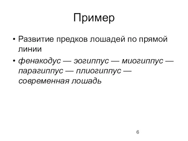 Пример Развитие предков лошадей по прямой линии фенакодус — эогиппус —